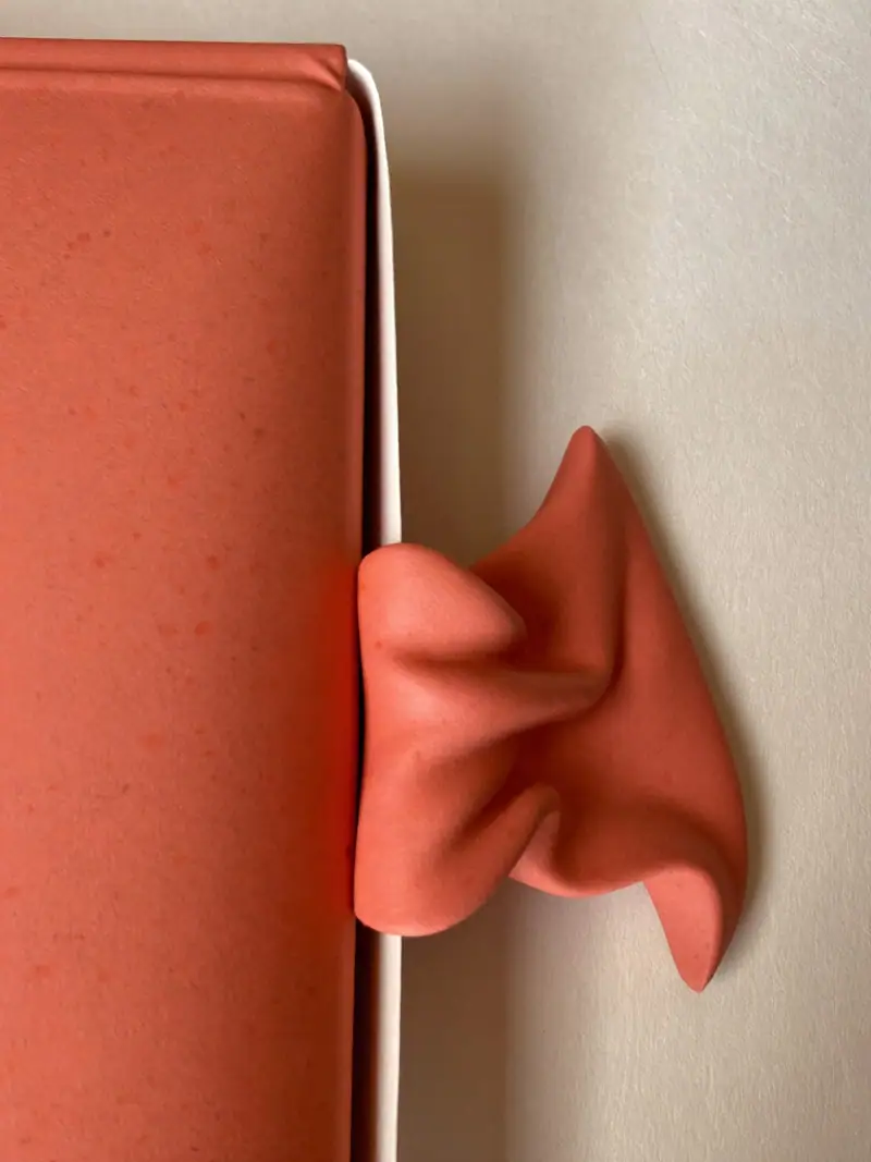 Close detail of a sculpted coral package closure on an ivory surface, recognisable without a logo, illustrating distinctive brand assets.